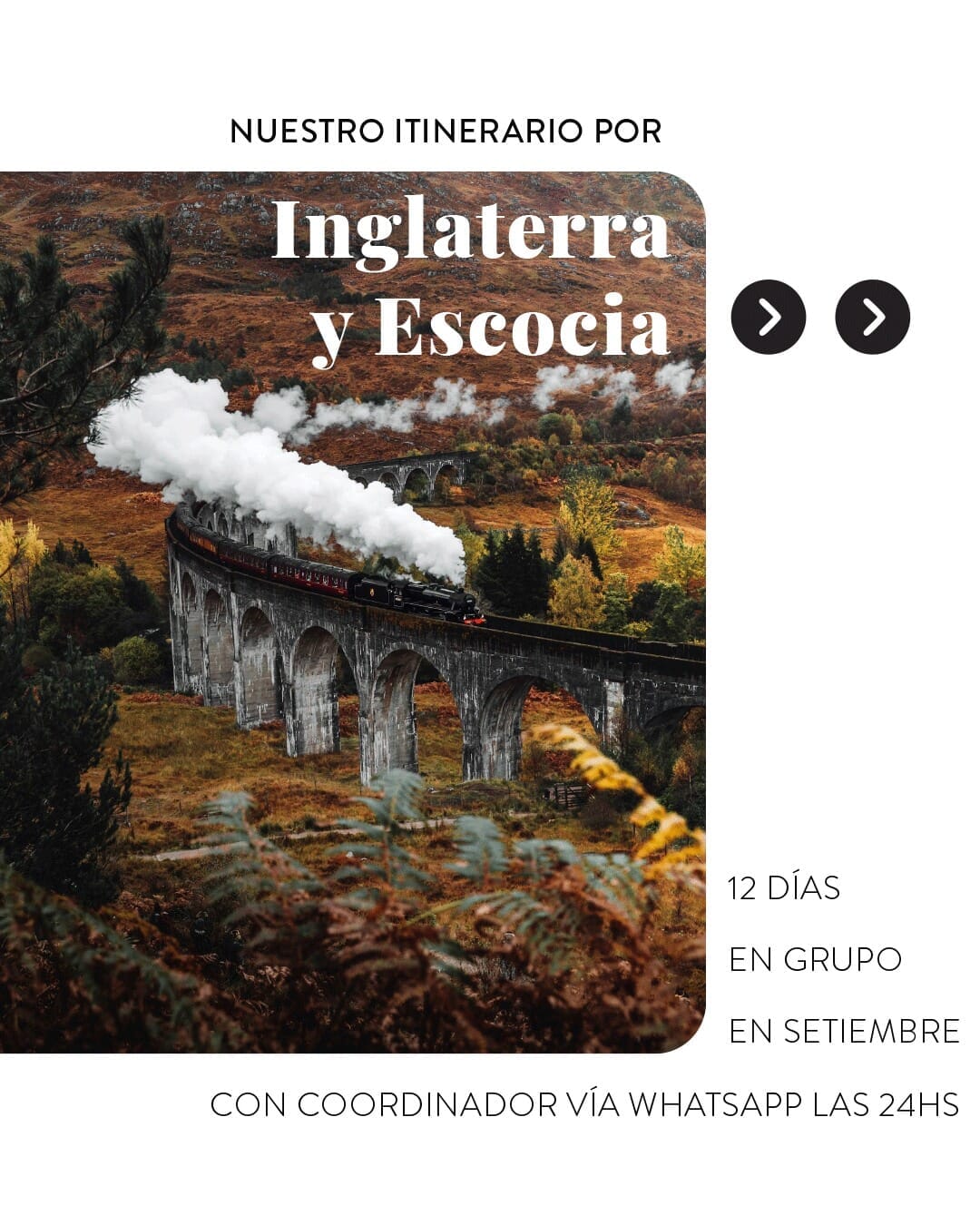 Imagen de posteo de Instagram