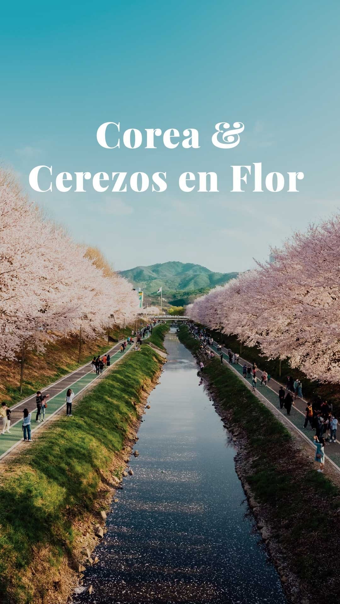 Imagen de posteo de Instagram