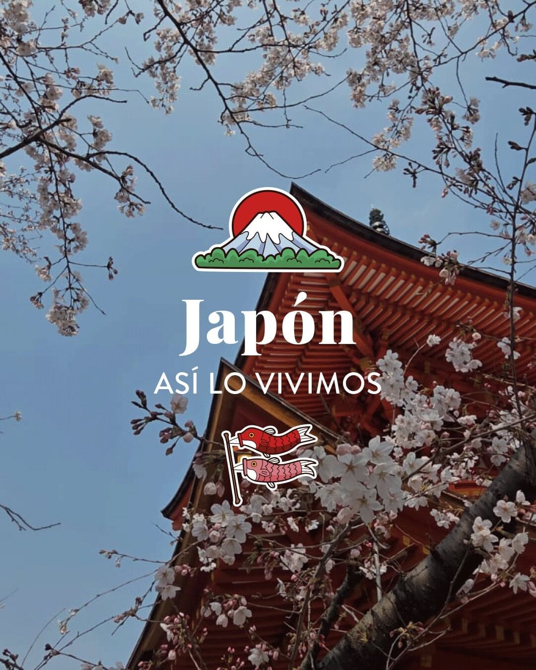 Imagen de posteo de Instagram