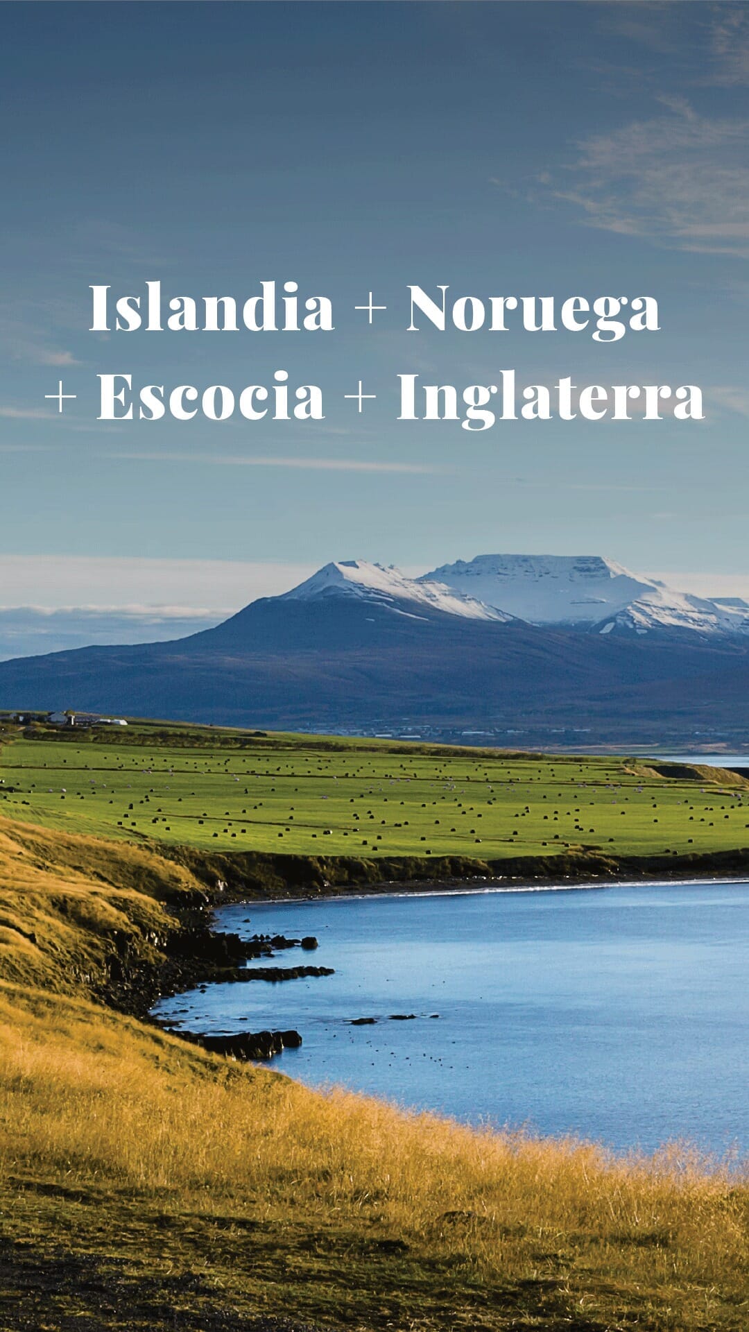 Imagen de posteo de Instagram