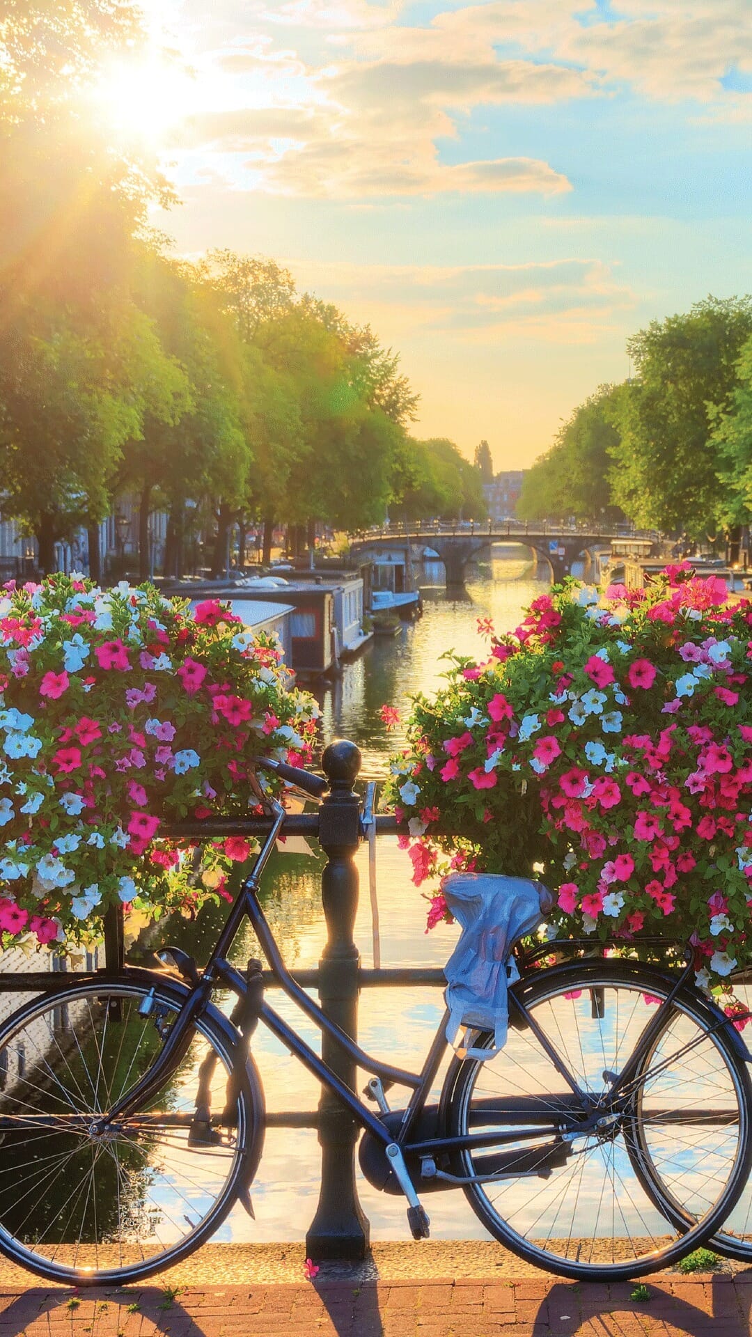 Imagen de posteo de Instagram