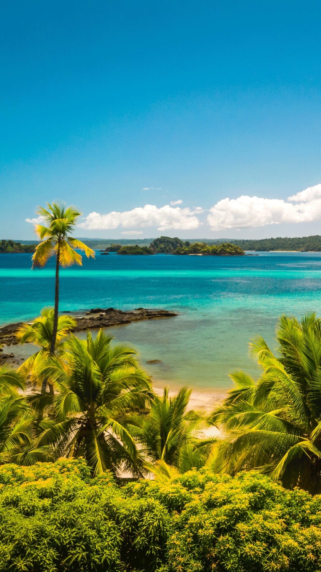 Imagen de posteo de Instagram